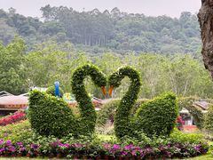 -东南花都花博园