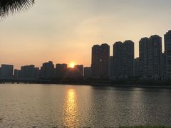 -五缘湾湿地公园