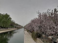 -元大都城垣遗址公园