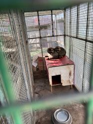 -萌宠亲子动物乐园(槐房万达店)