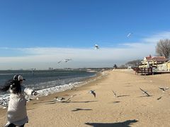 -老虎石海上公园