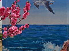 -青岛石老人海水浴场