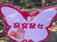 -佛慧山