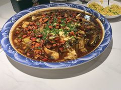 -新概念来凤鱼(璧山店)