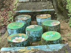 -广州白江湖森林公园