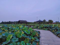 -梁鸿国家湿地公园