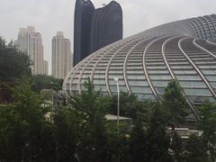 -凤凰中心