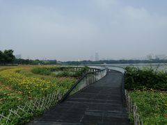 -海珠湖公园