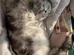 -宠福鑫康馨动物医院·骨科·眼科