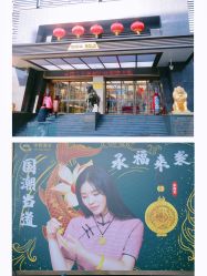 -中国黄金(北京旗舰店)