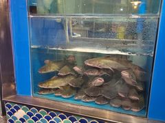 -鱼酷活鱼烤鱼(梅江印象城店)