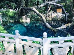 -蝴蝶泉公园