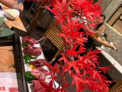 -赤坂亭M9和牛烧肉(世博源店)