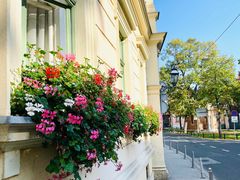 -耶拉契奇总督广场