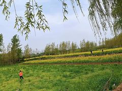 -秦岭风景区