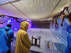 -宁波冰雪大世界(北仑区)