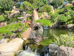 -罗红摄影艺术馆