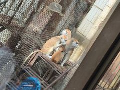 -昆明动物园