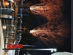 -三里屯东五街银杏大道