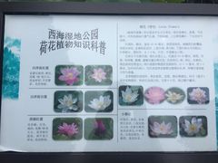 -郭守敬纪念馆