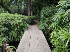 -广州兰圃