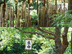 -青云峡漂流