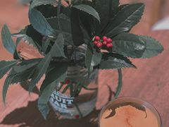 -懒鱼时光馆(沙坪坝店)