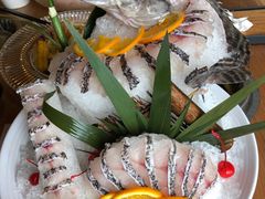 龙趸-尚海豆捞(乐虹坊店)