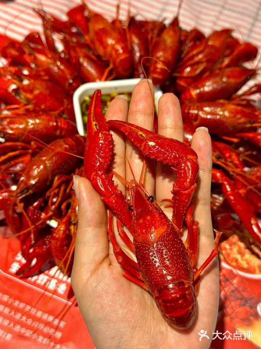 霸王虾·麻辣小龙虾(清水河公园店)图片