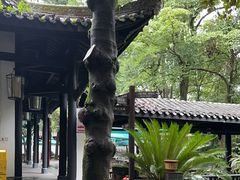 -王家渡火锅(三苏祠店)