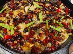 -老板恋上鱼(恒隆广场店)