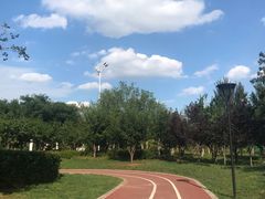 -丁香湖公园