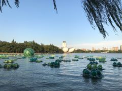 -东湖景区