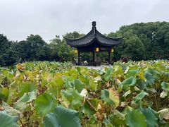 -丝绸小镇荻港古村