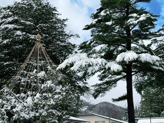 -北海道神宫