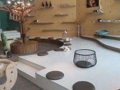 -飞行喵MR PILOT|猫舍·猫咖(静安大融城店)