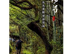 -会稽山峡洞漂流-上青古道