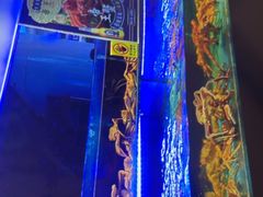 -驻海渔市(置信店)