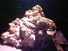 -京东大溶洞景区