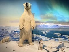 -陕西自然博物馆