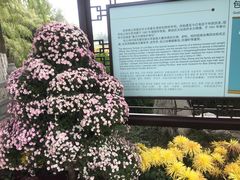 -包公祠