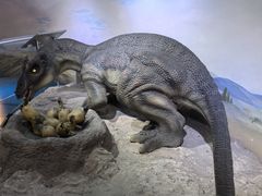 -国家自然博物馆