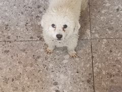 -百万叔(临湖店)