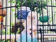 -丽江庭院之丽江往事(安定门店)