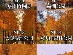 -番禺大夫山森林公园