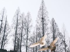 -音乐台