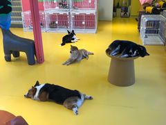 -大族广场Mall&More