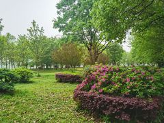 -东湖落雁景区