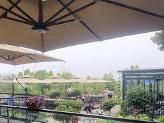 -蘇河湾·新鲁菜·泰山宴(泰山店)
