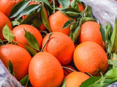 -菜园坝水果市场